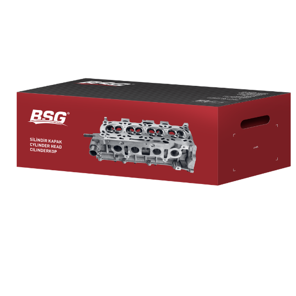 BSG Cylinder Head New Packaging Launch