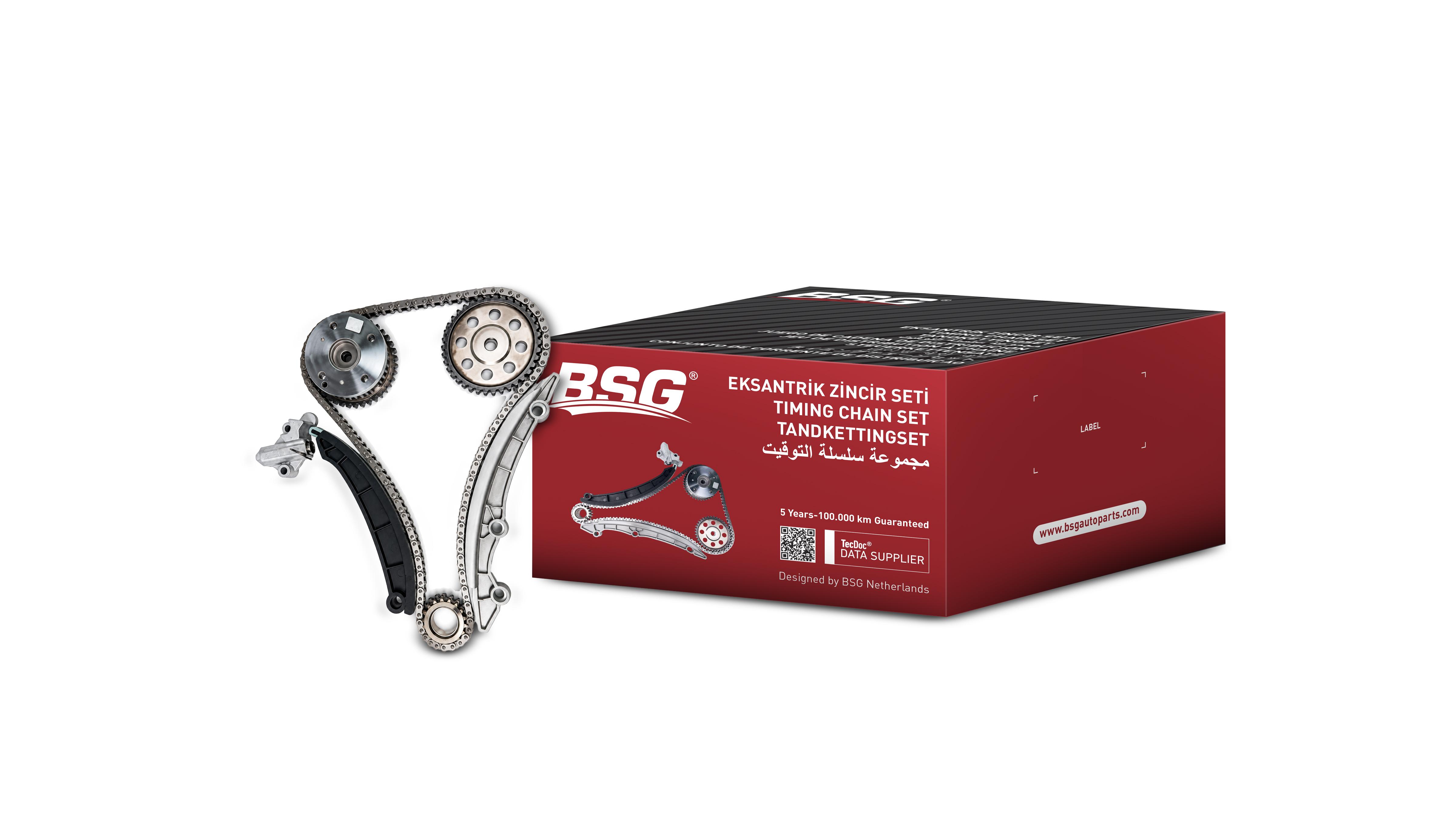 Timing Chain Kit